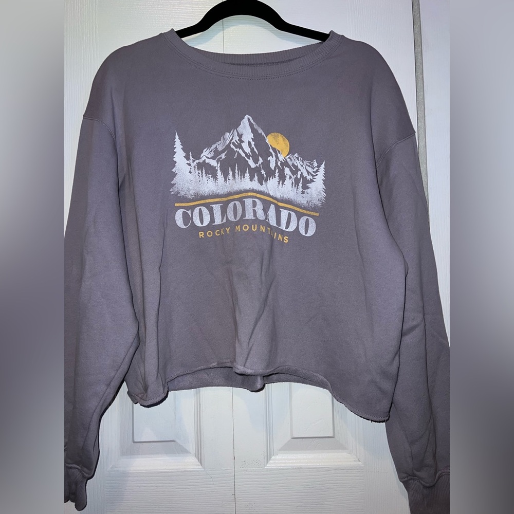 Hollister CO Cropped Crewneck